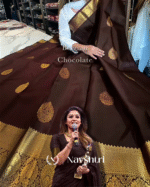 Lovely Brown Color Soft Banarasi Silk Saree With Pure Golden Zari Work & Classy Blouse Piece - Image 7