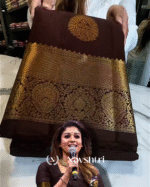 Lovely Brown Color Soft Banarasi Silk Saree With Pure Golden Zari Work & Classy Blouse Piece - Image 6